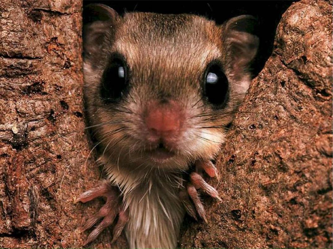 Ира Старенкова | Санкт-Петербург