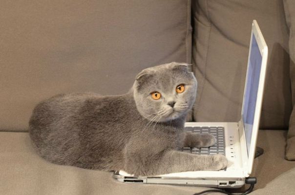 №157, Ольга Ермилова, 42 года, Киев №157, Ольга Ермилова, 42 года, Киев