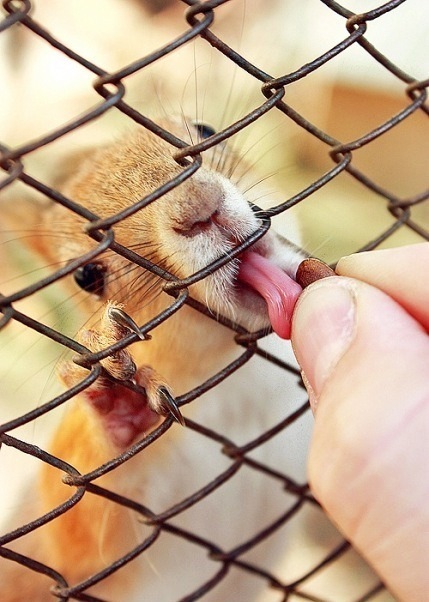 №172, Леонид Фурсин, 35 лет, Самара №172, Леонид Фурсин, 35 лет, Самара