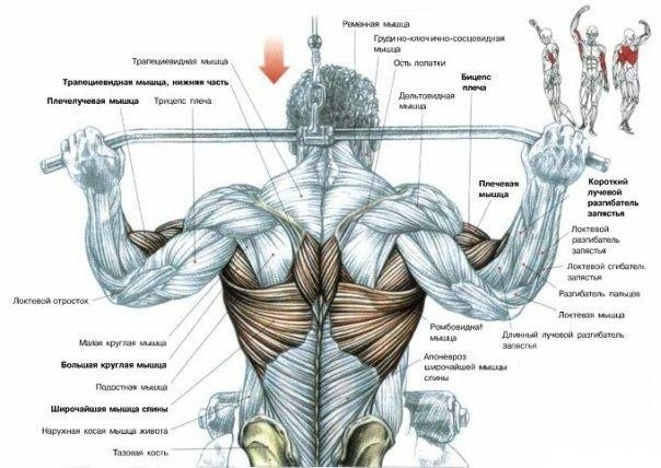 Олег Горшунов | Санкт-Петербург