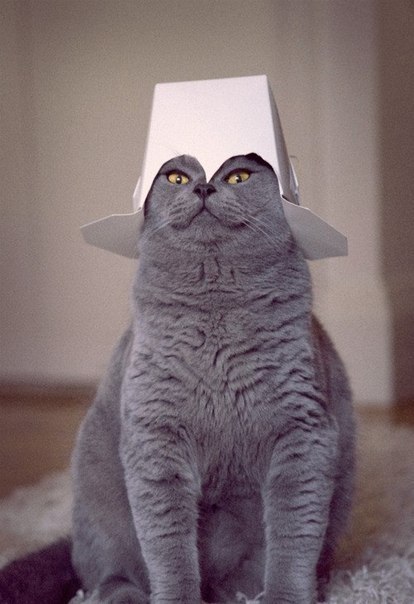 Анчик Пальчик С | Санкт-Петербург