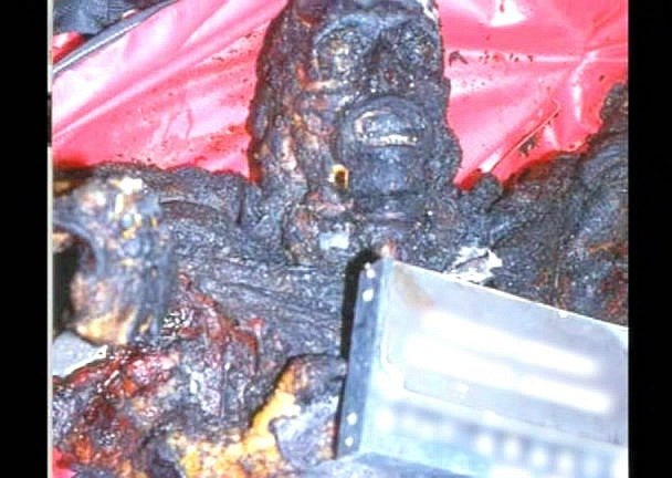 Лиллианна Эль-Кувейри | Санкт-Петербург