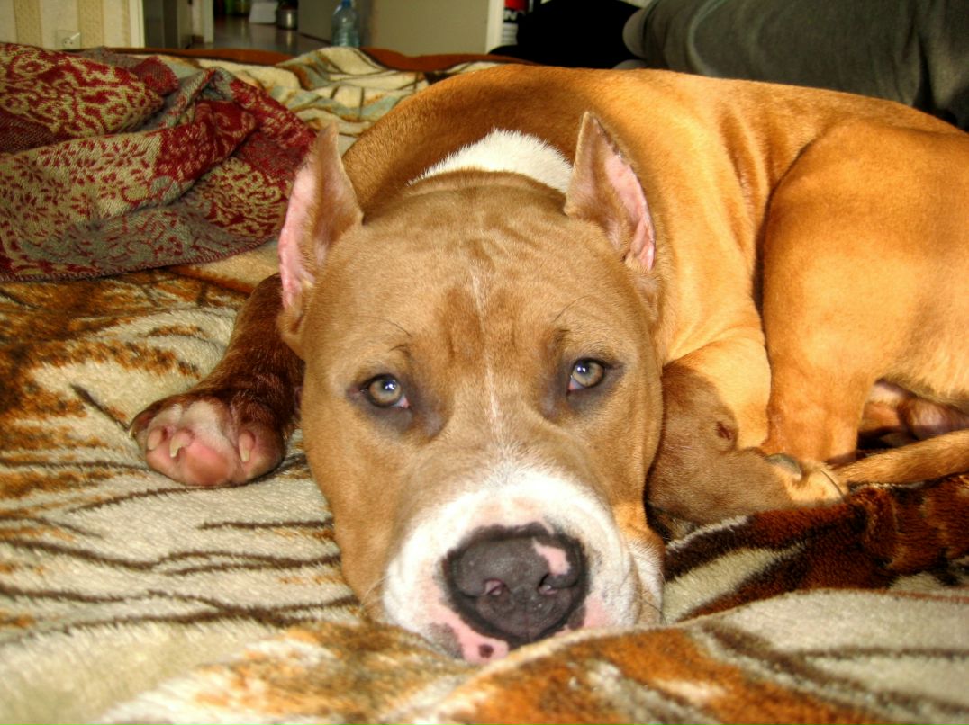 Мария Петрачкова | Киров