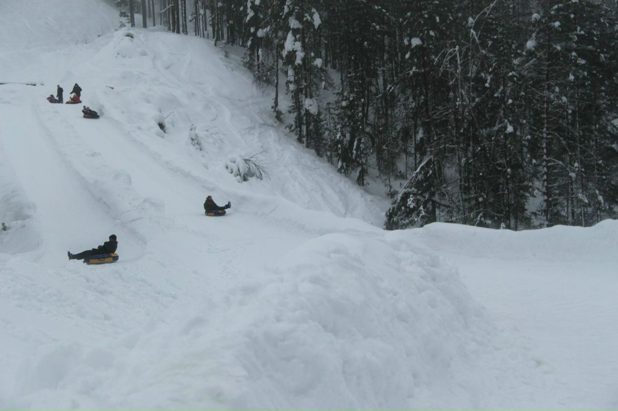 Елена Королевская | Москва