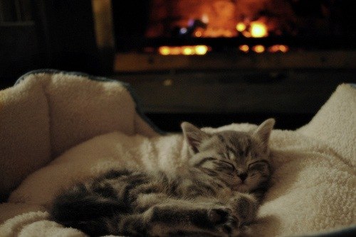 Инна Мамчур | Киев