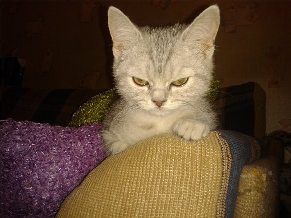 Оксана Мельник | Санкт-Петербург