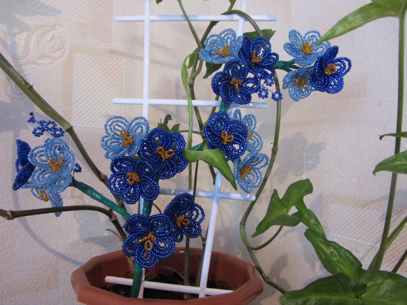 Галина Филиппова | Беломорск