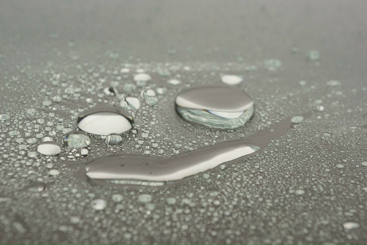 София Лука | Киев