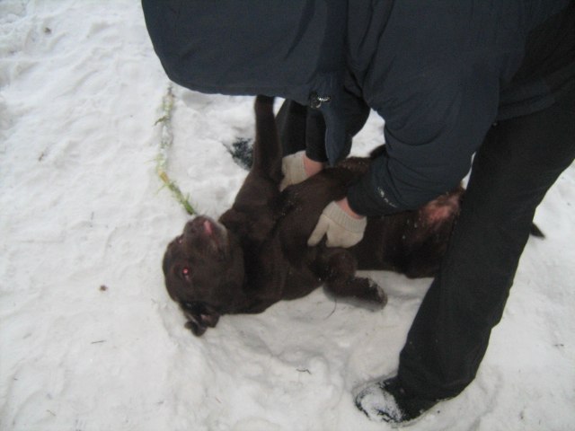 Анастасия Кострова | Ижевск