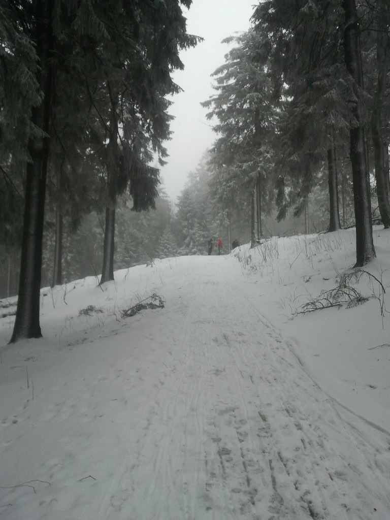 Алексей Гербер | Frankfurt am Main