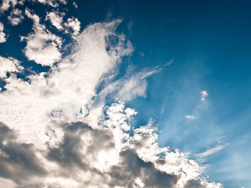 Наталия Менжерес | Киев