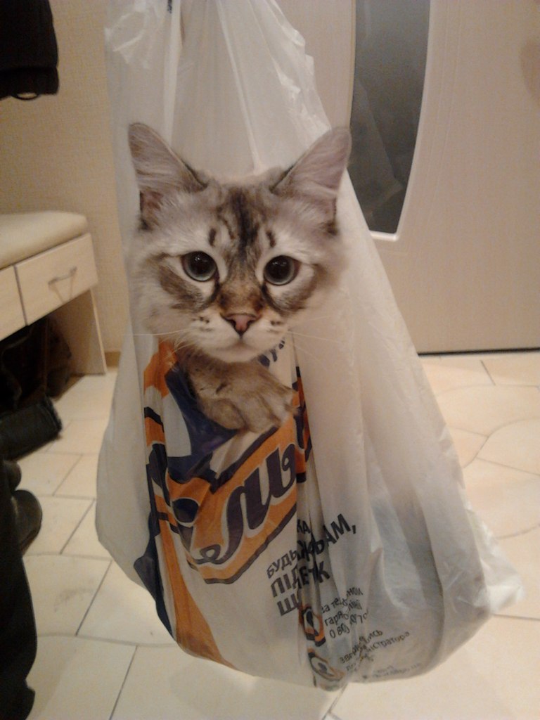 Ириша Степаненко | Запорожье