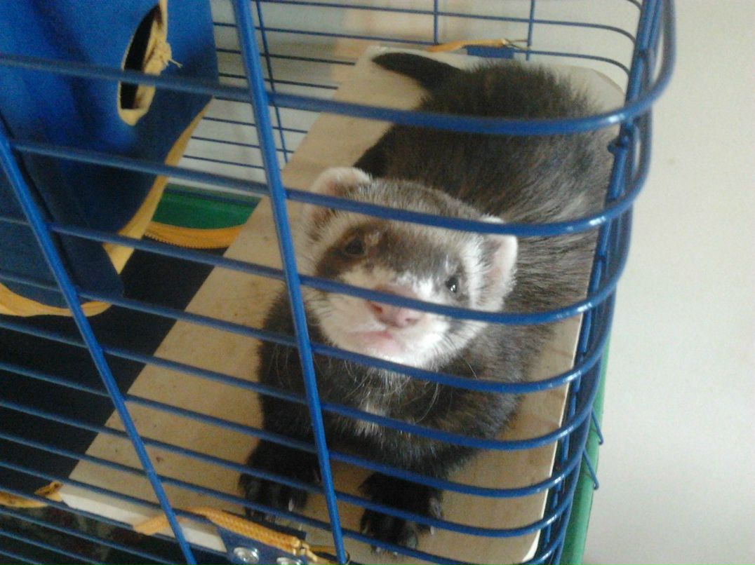 Тёма Денисов Cube | Киев