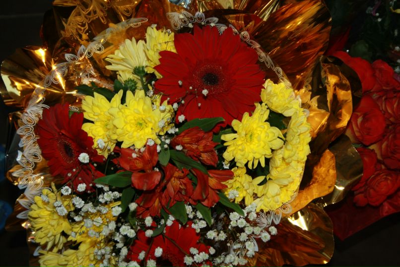 Леночка Комарова | 