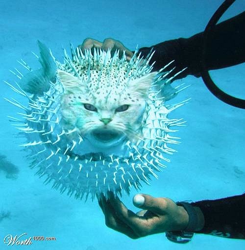 Мария Радецкая | Киев