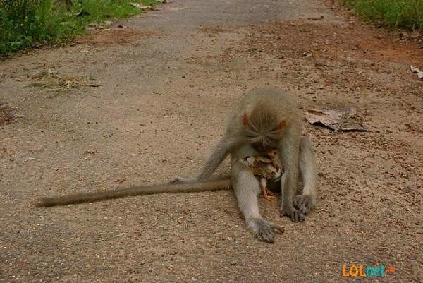 Мария Радецкая | Киев