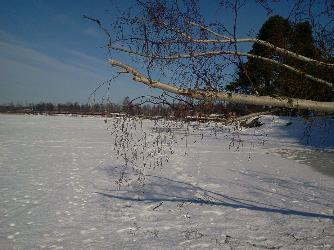 Галина Харченко | Приозерск
