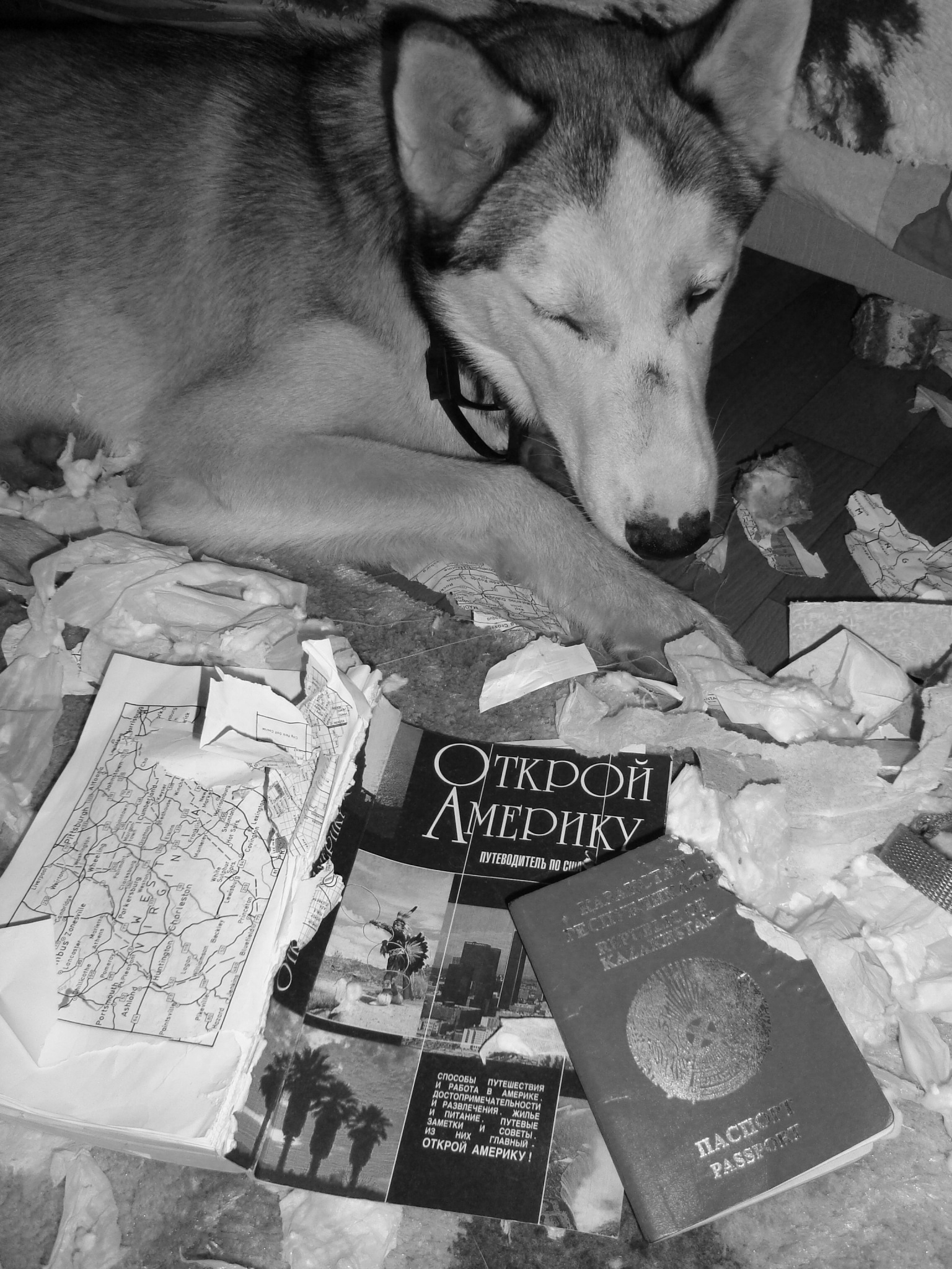 Фото профиля