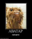 Фотография Кирилл Королёв