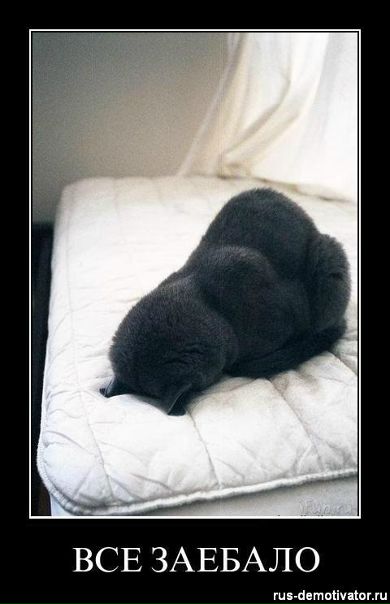 №85, Евгений Марьинский, 32 года, Симферополь №85, Евгений Марьинский, 32 года, Симферополь