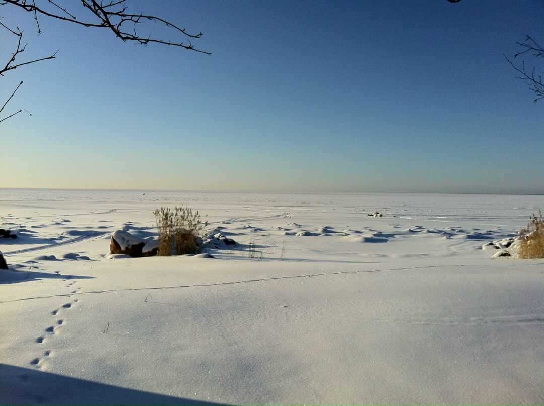 Кирилл Шубаев | Санкт-Петербург