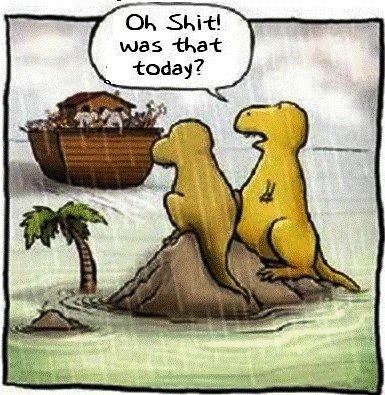 Алсу Низамова | 