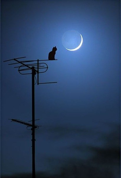 Вероника Яскельчик | Тверь