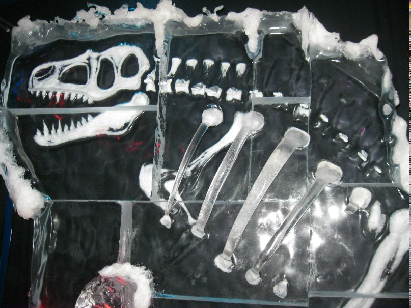 Анна Бутусова | Москва