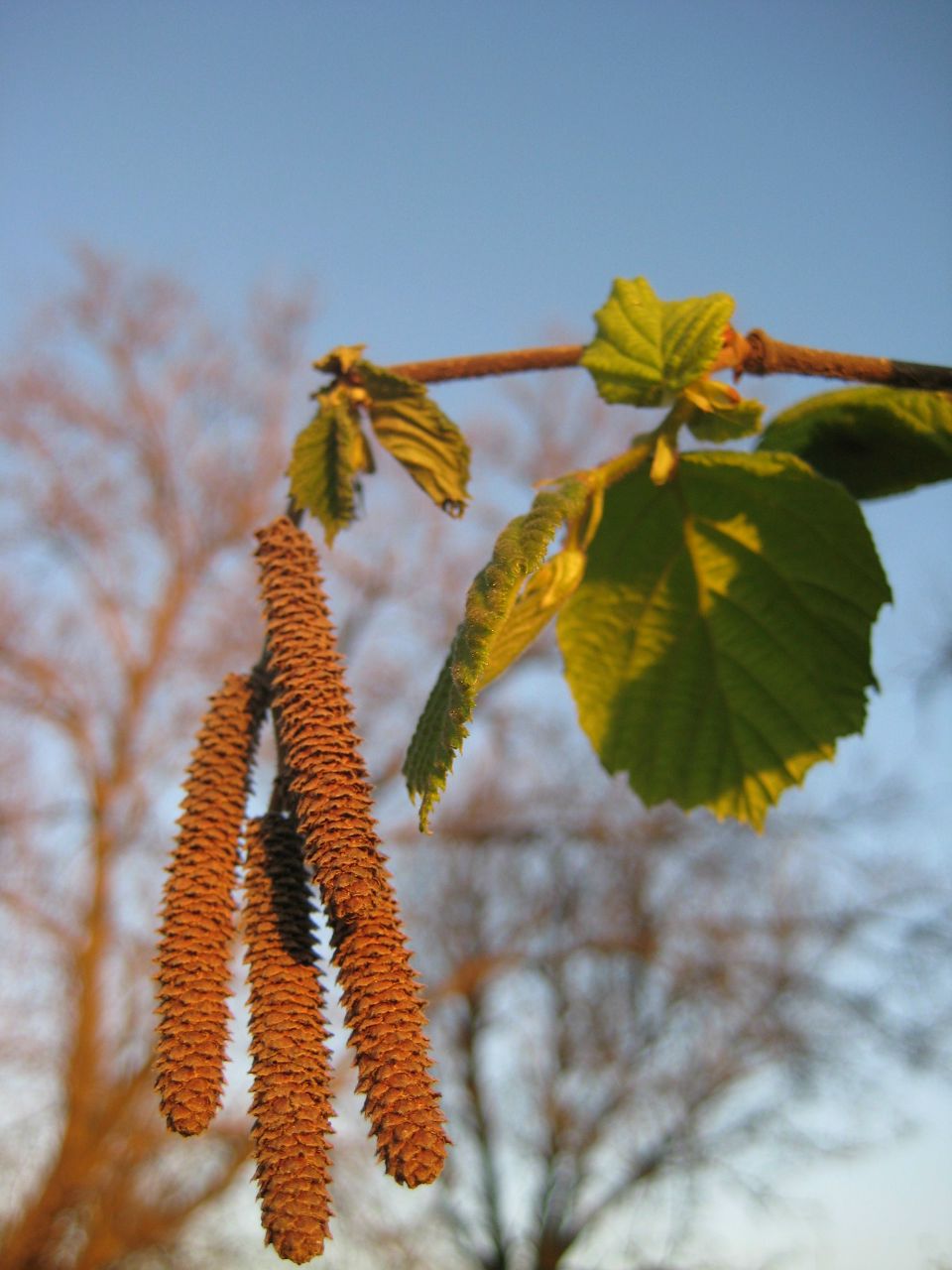 Виталия Ильичёва | Донецк
