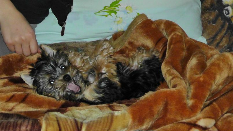 Юлия Иванова | Москва