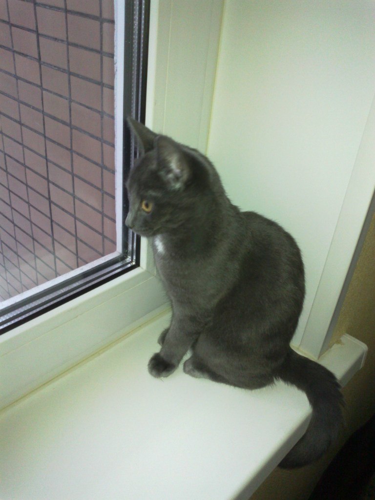 Наталия Кривченкова Ипатова | Москва