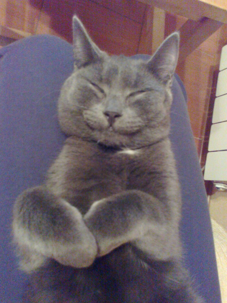 Наталия Кривченкова Ипатова | Москва