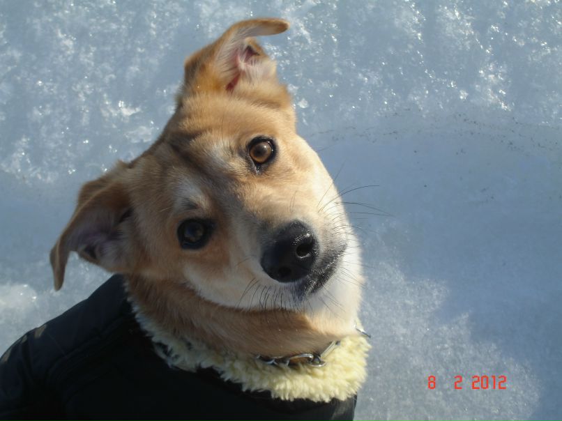 Анастасия Дубенская | Одесса