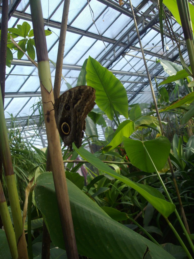 Галина Дудинова | München