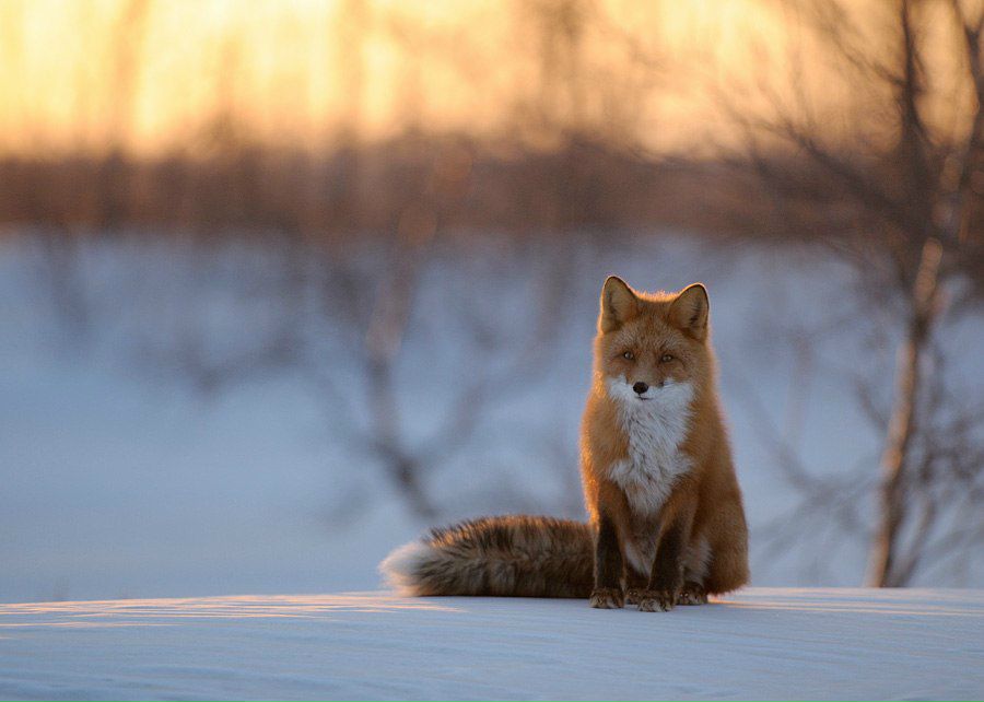 Маргарита Морозова | Москва