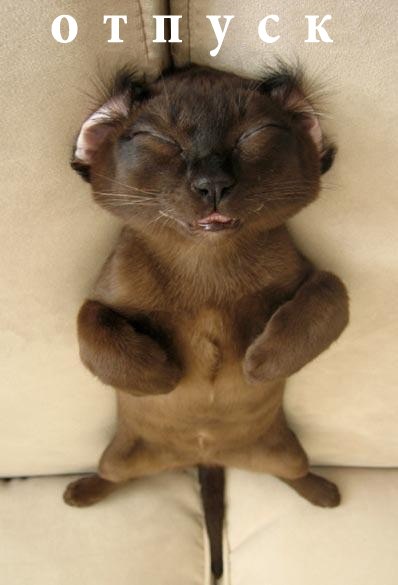 Сергей Петров молодой_но_realist | Архангельск