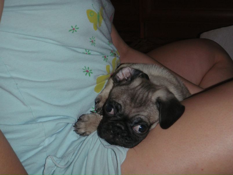 №185, Наталия Зубко, Одесса №185, Наталия Зубко, Одесса