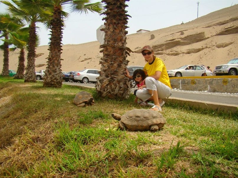 Olia Mironova | Киев