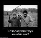 Фотография Ali Eldarov