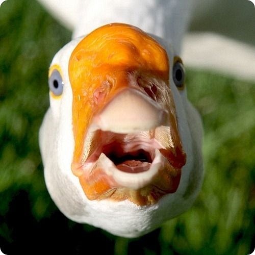 №89, Степан Землянигин, 39 лет, Кулебаки №89, Степан Землянигин, 39 лет, Кулебаки