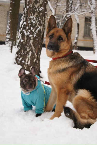 №80, Юлия Мсккино №80, Юлия Мсккино