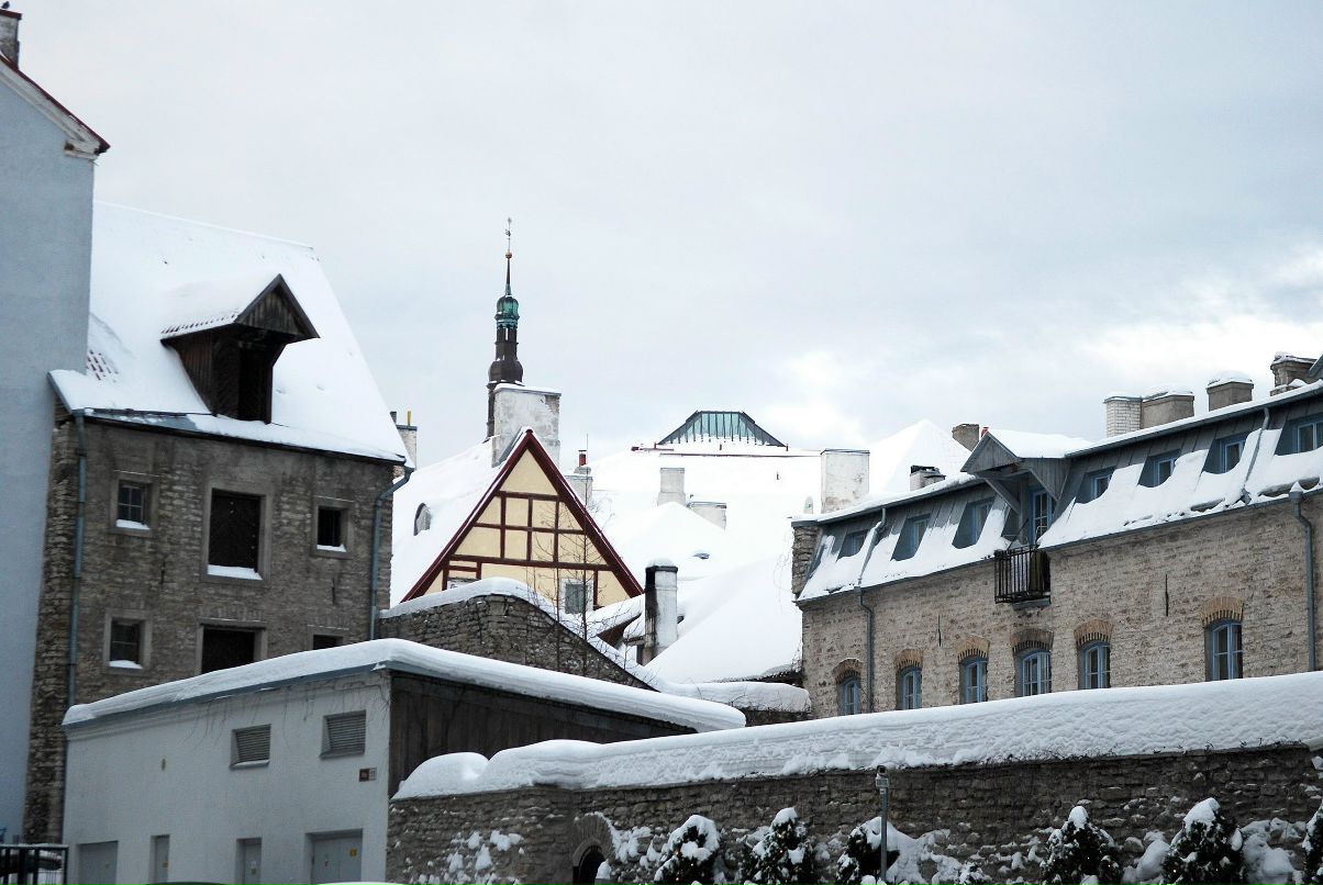 Илья Каверя | Санкт-Петербург
