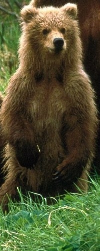 №74, Vlad Voronin, 35 лет, Киев №74, Vlad Voronin, 35 лет, Киев