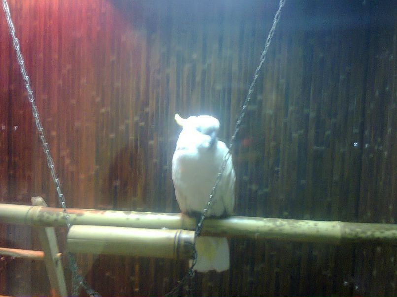 Анна Свищ ✿ܓBaRsY4kA✿ܓ | Харьков