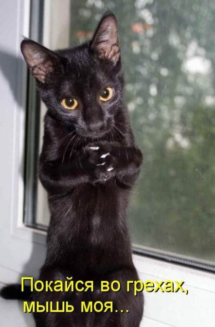 Юрий Кулик | Запорожье