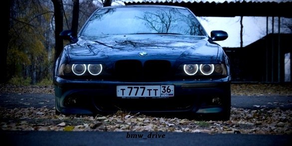 Дима Гвоздицкий | Малин