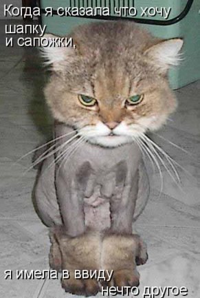 Анастасия Романенко | Днепр (Днепропетровск)