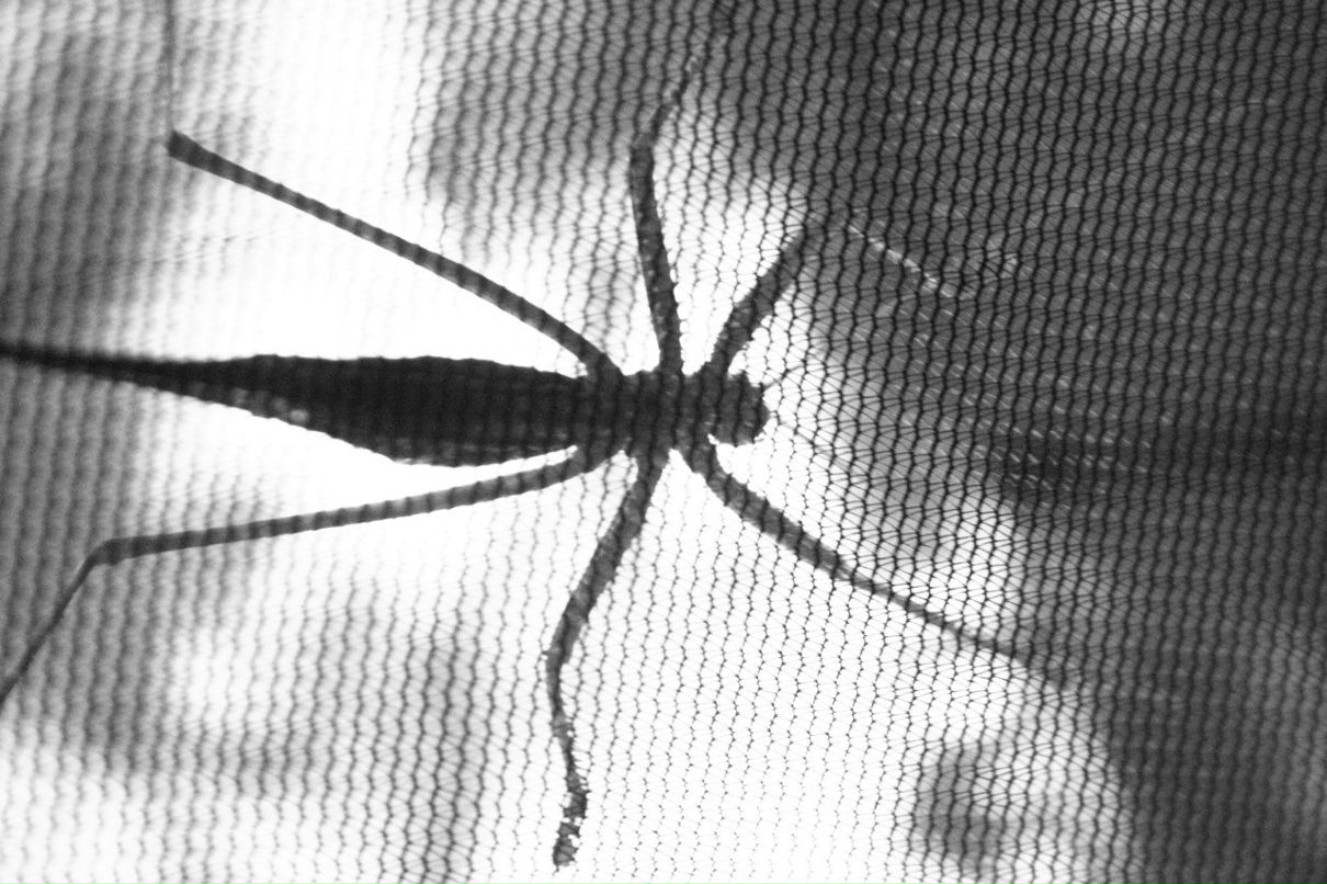 Julian Murasov | Москва