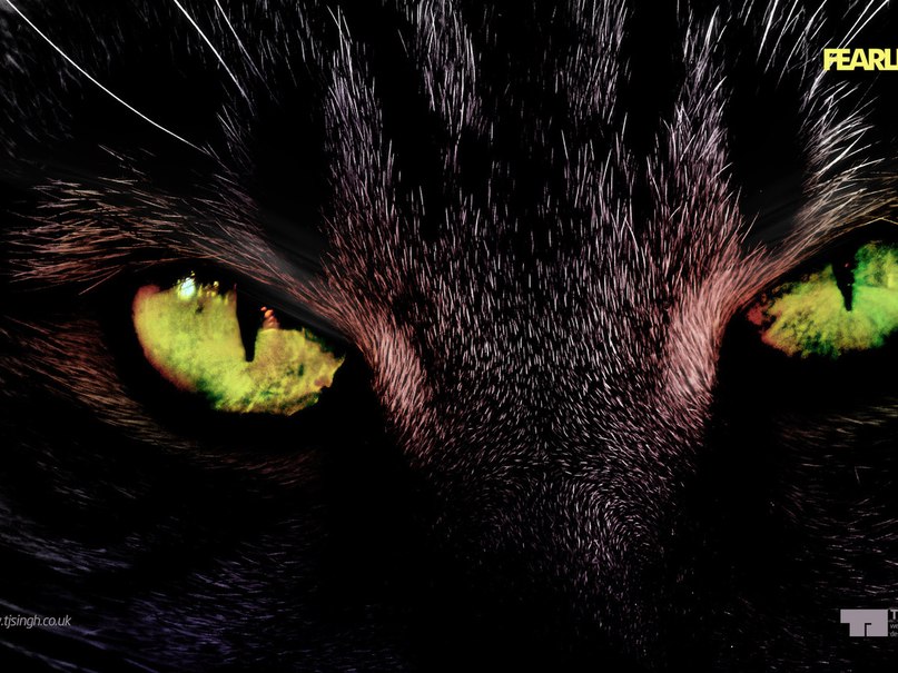 Марина Федорова | Пикалево