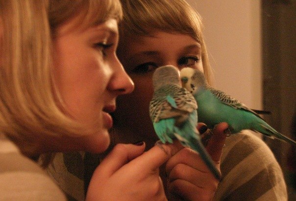 Елена Николаева | Санкт-Петербург